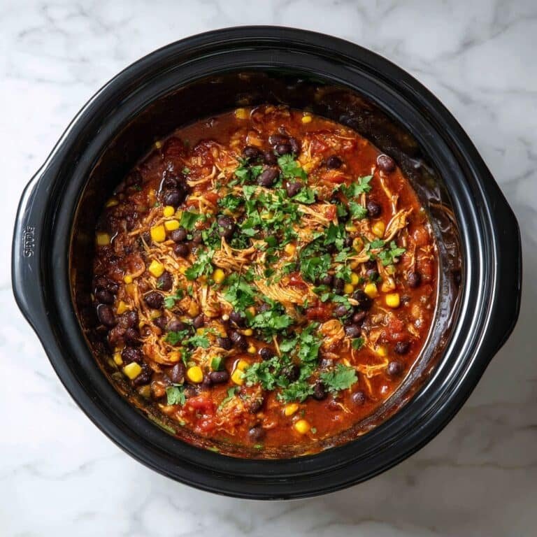 Crockpot Salsa Chicken Recipe